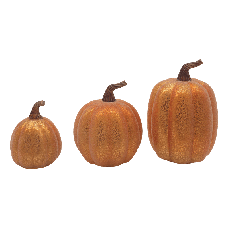 10*11,5cm & 12*15cm Halloween LED-glaspumpalampa Bordsskivadekoration